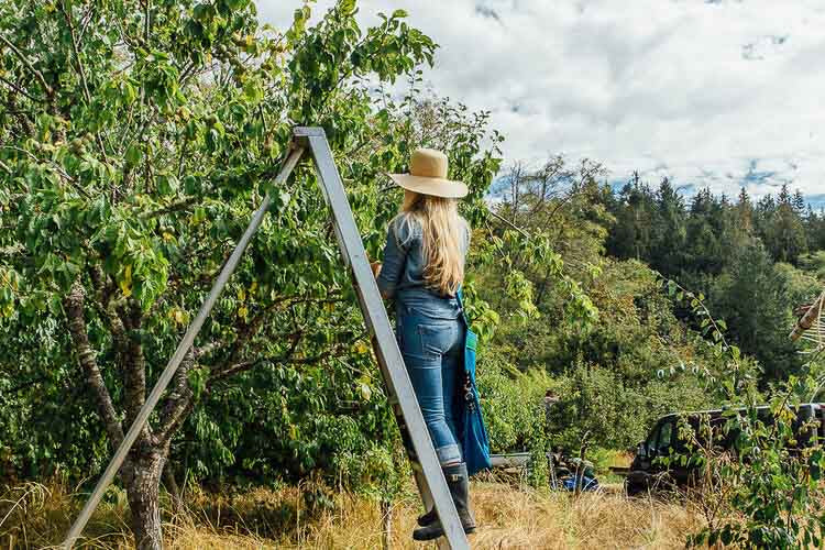 girl-meets-dirt-picking-fruit-orchard_7faff48f-dbbf-4958-a10d-c118c76d8caf