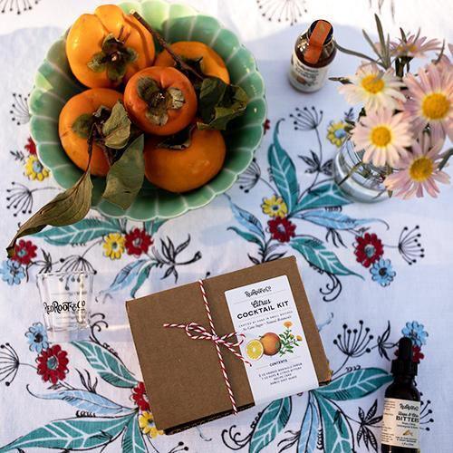 Citrus Cocktail Kit (Shrub, Bitters, Shot Glass) by Red Root & Co.