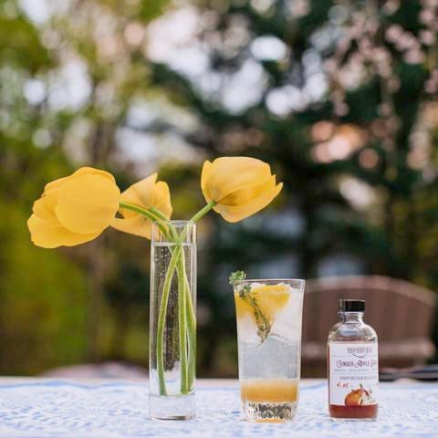 Citrus Cocktail Kit (Shrub, Bitters, Shot Glass) by Red Root & Co.